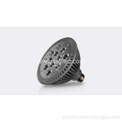 12x1W PAR38 High Power LED Spot Light (TD-PP38*12)